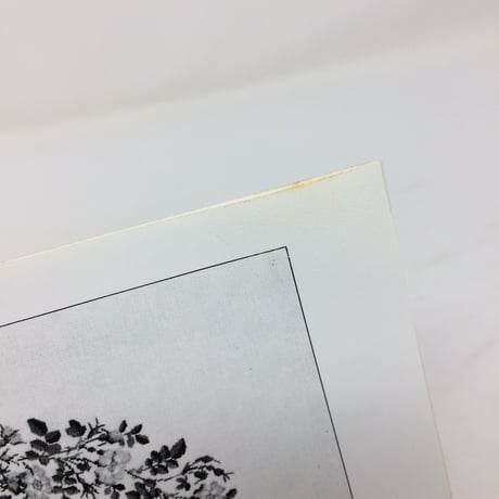 【古本】B225   デンマーク花の刺繍展　FLORA DANJCA 1985