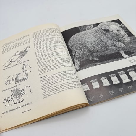 【F1_015】Creative Spinning, Weaving and Plant-Dyeing. /Beryl Anderson