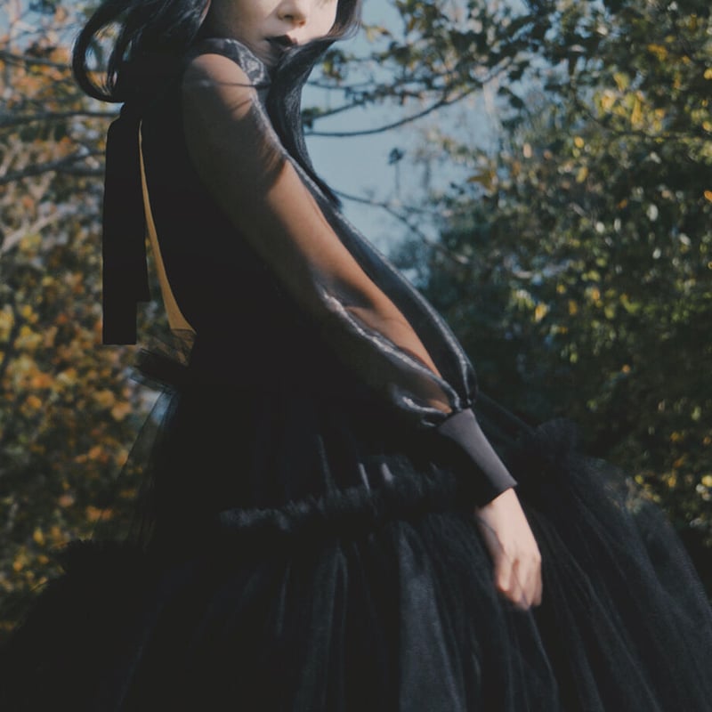 スーツ・フォーマル・ドレス thetoe Bluebell Tulle Dress black S Bluebell Tulle Dress – THE TOÉ