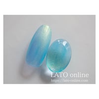 color gel polish 045 【廃盤】