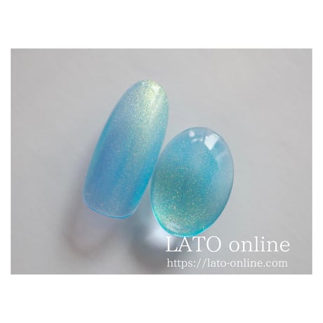 color gel polish 045 【廃盤】