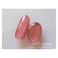 magnet gel polish 608 【廃盤】
