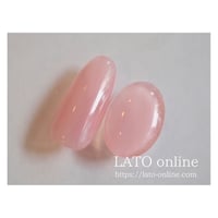 color gel polish 005 【廃盤】