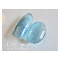 magnet gel polish 307 【廃盤】
