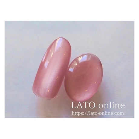 magnet gel polish 606 【廃盤】