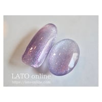 magnet gel polish 308 【廃盤】