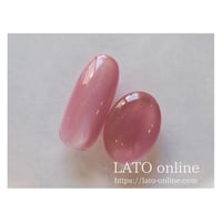 magnet gel polish 617 【廃盤】