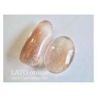 magnet gel polish 301 【廃盤】