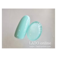 color gel polish 038 【廃盤】