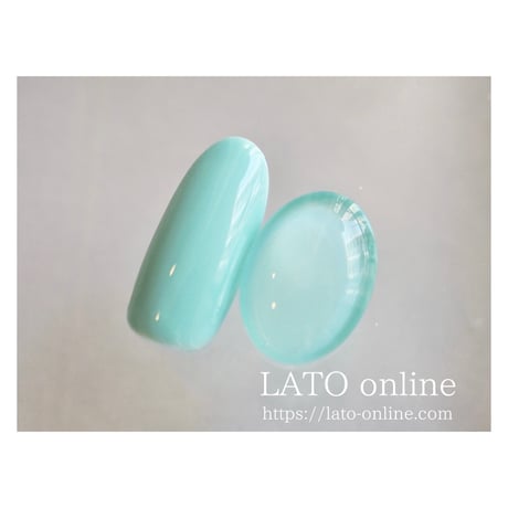color gel polish 038 【廃盤】