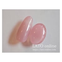 color gel polish 008 【廃盤】