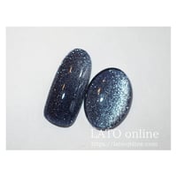 flash magnet gel polish 005 【廃盤】