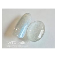 magnet gel polish 401 【廃盤】