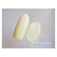 color gel polish 036 【廃盤】