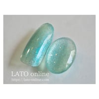magnet gel polish 304 【廃盤】