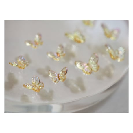 aurora butterfly（サンＭ）