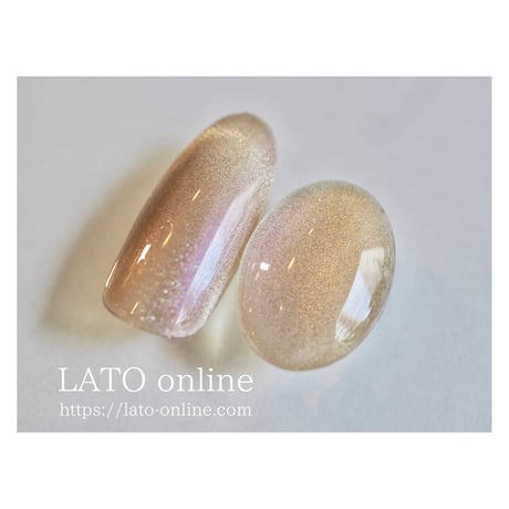 magnet gel polish 305 【廃盤】