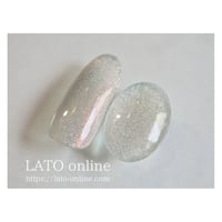 magnet gel polish 402 【廃盤】