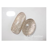 flash magnet gel polish 002（ゴールド）【廃盤】