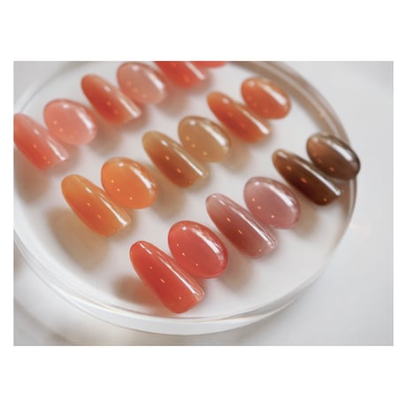 color gel polish 008 【廃盤】