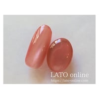 magnet gel polish 609 【廃盤】