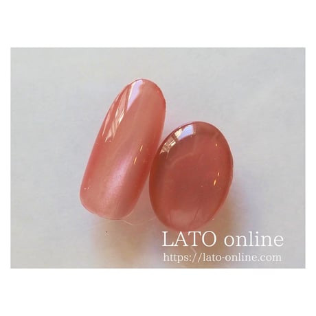 magnet gel polish 609 【廃盤】