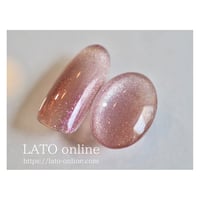 magnet gel polish 309 【廃盤】