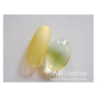 color gel polish 046 【廃盤】