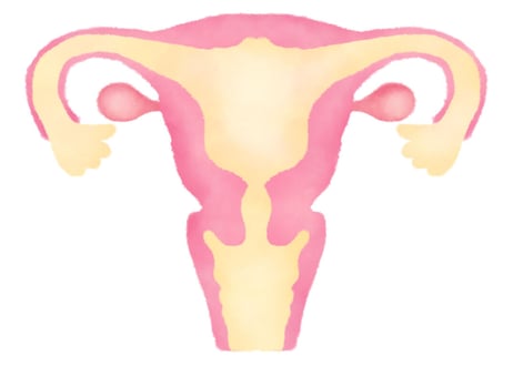 【セクシュアリティヒーリング】