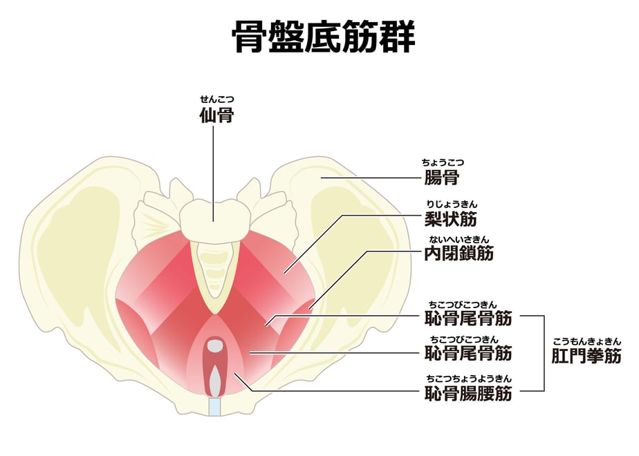 623d4eb165d2a3283c1dc293