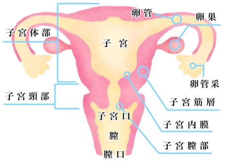 【セクシュアリティヒーリング】