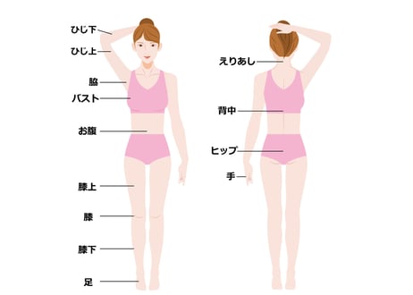 【除毛エネルギー】