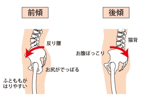 【骨盤矯正エネルギー】