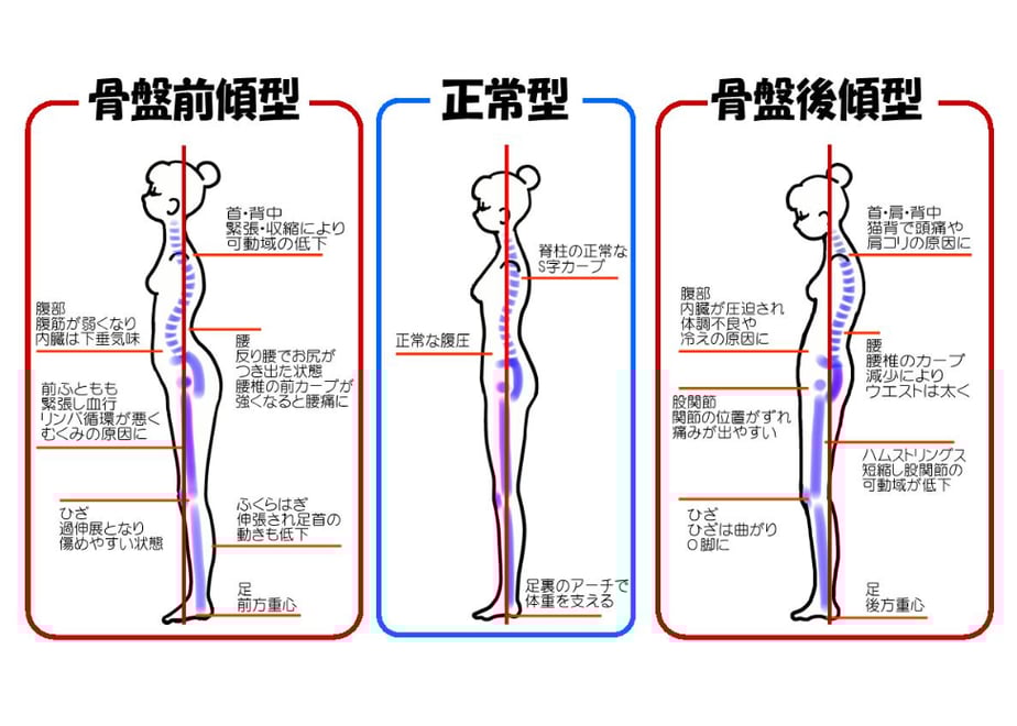 608cdf58da019c34123fb4a2
