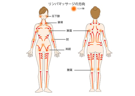 【セルライト除去エネルギー】