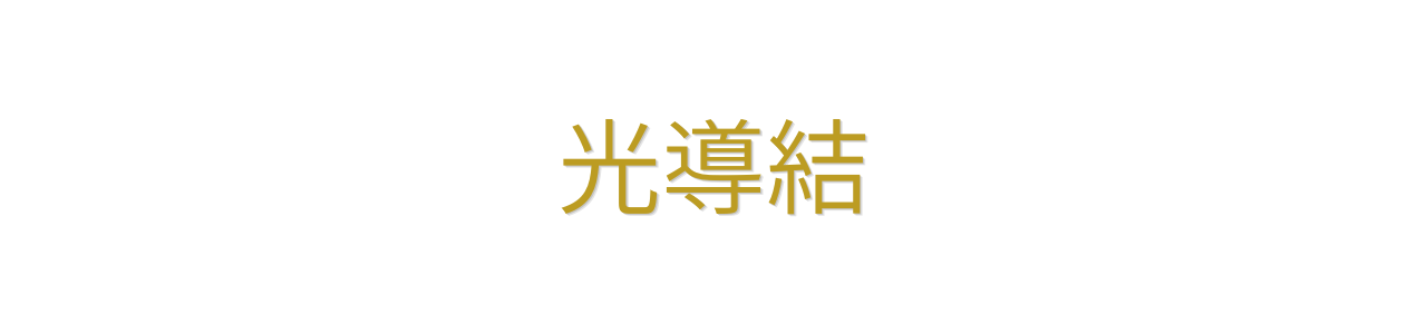 光導結