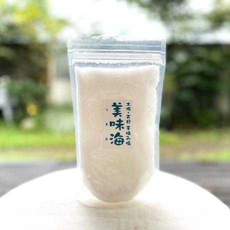 天日・手揉み塩「美味海（うまみ）」500g  /海工房【高知】
