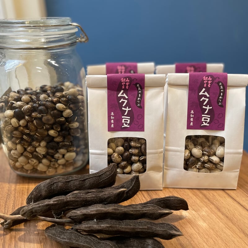高知県産ムクナ豆／山から飯から【高知】 | SIMASIMA LABORATORY