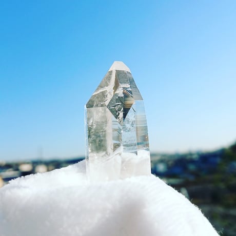 トライゴーニック | STORES