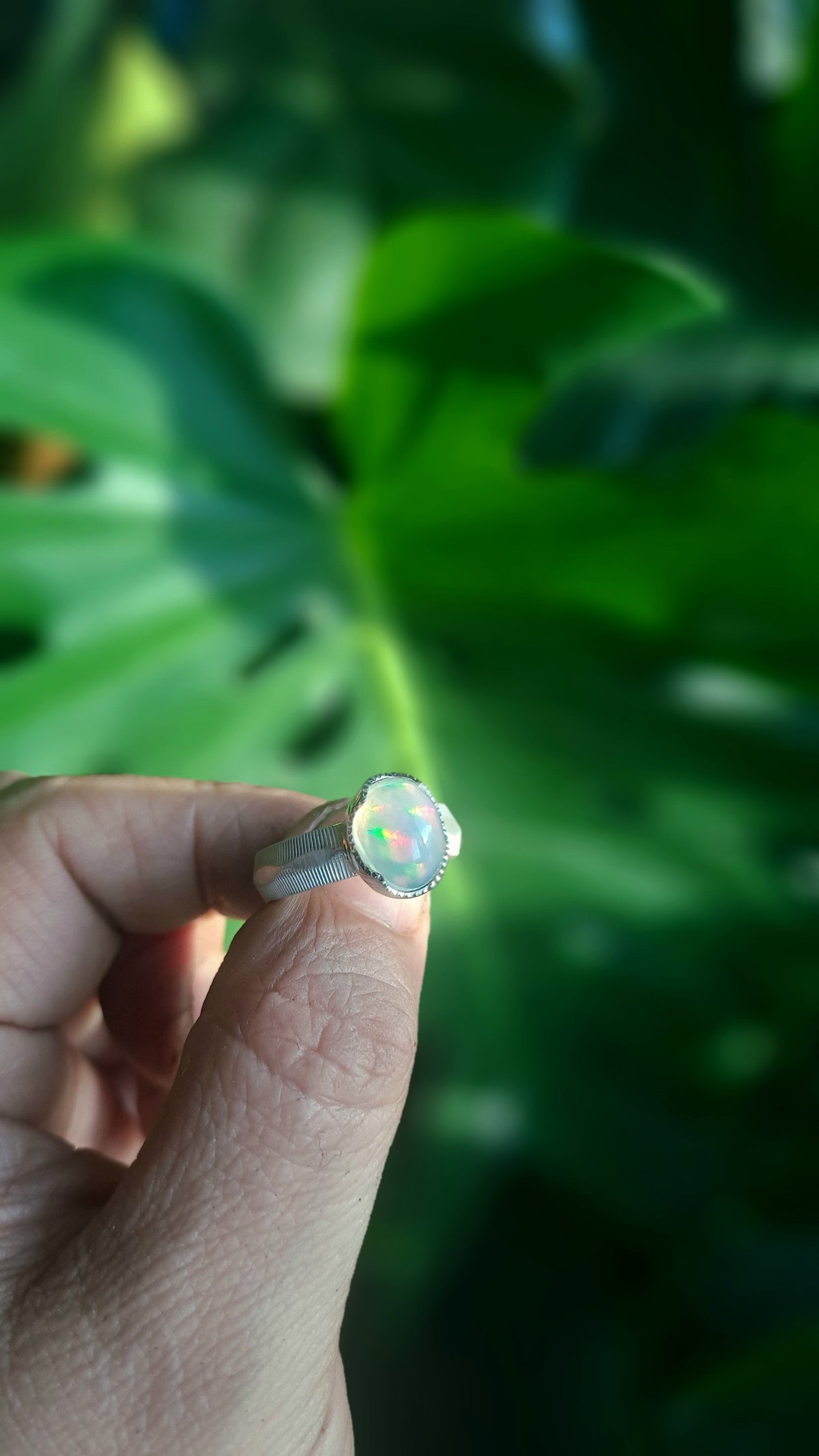 14号 プレシャスオパール シルバーリング | Le Papillon Jewelry 14号 プレシャスオパール シルバーリング | Le Papillon Jewelry