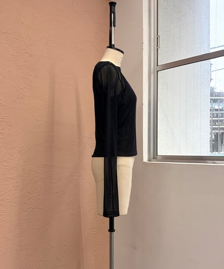 T04 The dual muse top