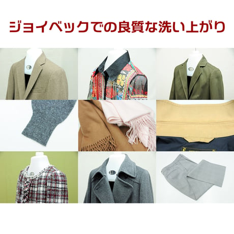 ジョイベック S プレミアム 洗濯洗剤 液体 500g ドライマーク用洗剤