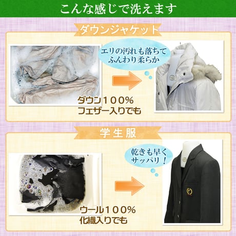 ジョイベック S プレミアム 洗濯洗剤 液体 500g ドライマーク用洗剤