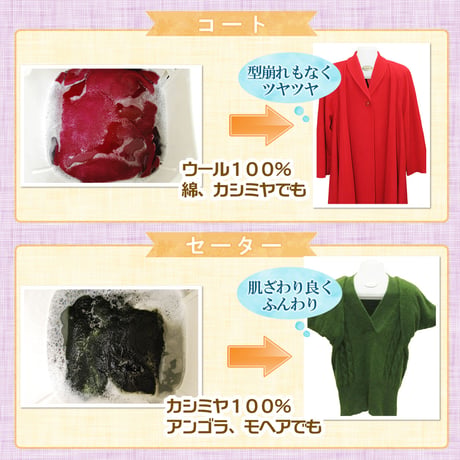 ジョイベック S プレミアム 洗濯洗剤 液体 1,000g ドライマーク用洗剤