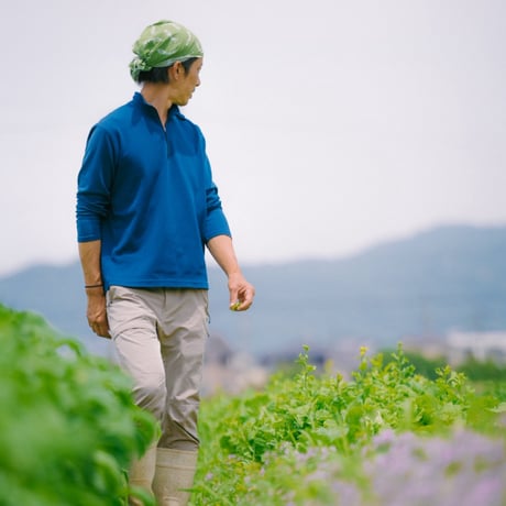 【HallysOrganicFarm(まるはり農園)】 チンゲンサイの珍さん LONG SLEEVE TEE (SMOKEY GREEN)