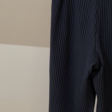 homme plisse issey miyake 2022aw tailed pleats pants