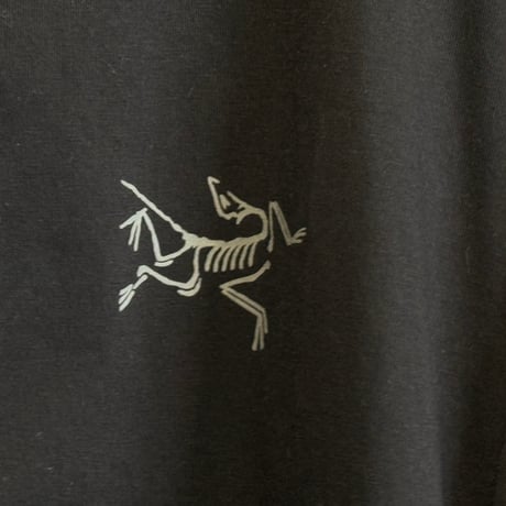 【国内正規品】arcteryx 2025ss logo tops xxl