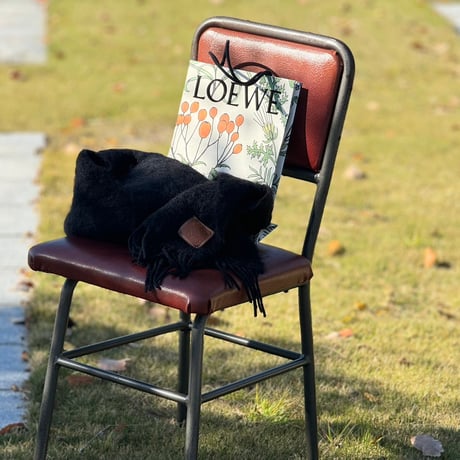 【国内正規】loewe anagram mohair muffler B