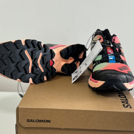 新品 salomon sneaker xt-4 og aurora borealis 29cm