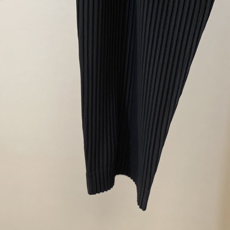 homme plisse issey miyake 2022aw tailed pleats homme plisse issey miyake 2022aw tailed pleats